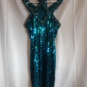 Niteline Women's Sequin Dress (size 6)